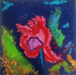 red flower on a blue backgroung