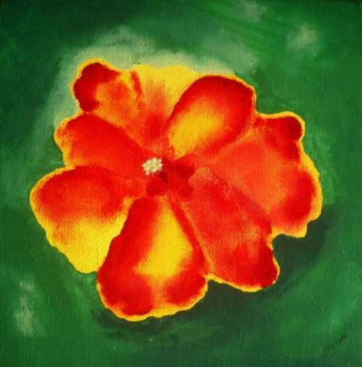 Hibiscus III