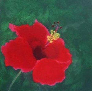 Hibiscus IX
