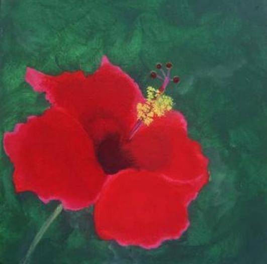Hibiscus IX