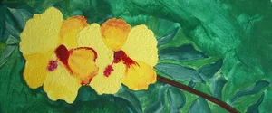 Hibiscus Series Series